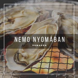 Nemo nyomában